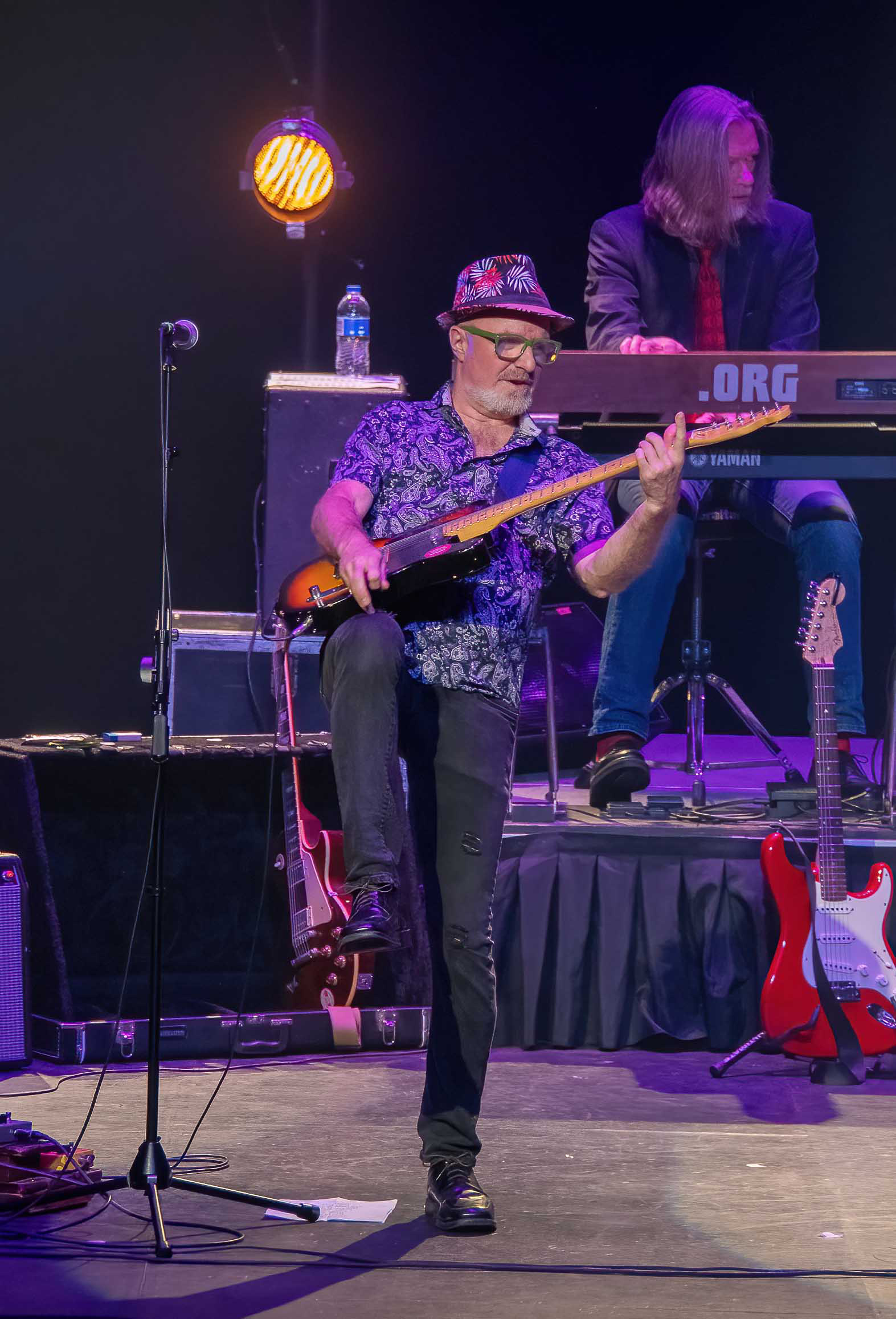 Mark Higginbottom - Tom Petty Tribute - Photo by Glenn Davis, Altoona, Pennsylvania
